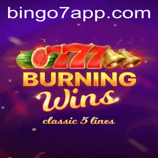 Exploring the Exciting World of BurningWins Bingo7