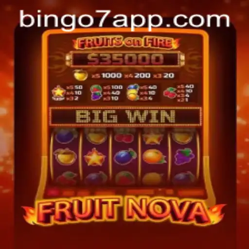 Exploring FruitNova and Bingo7: A New Dimension in Gaming